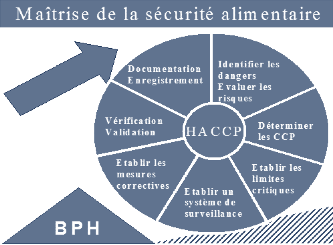 m-thode-haccp-qhsa-formation